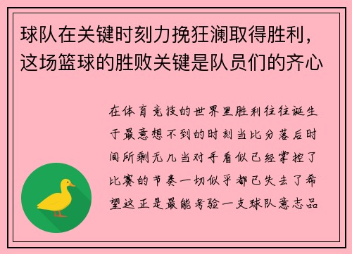 球队在关键时刻力挽狂澜取得胜利,这场篮球的胜败关键是队员们的齐心协力
